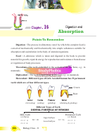 16. Digestion and Absorption (1).pdf